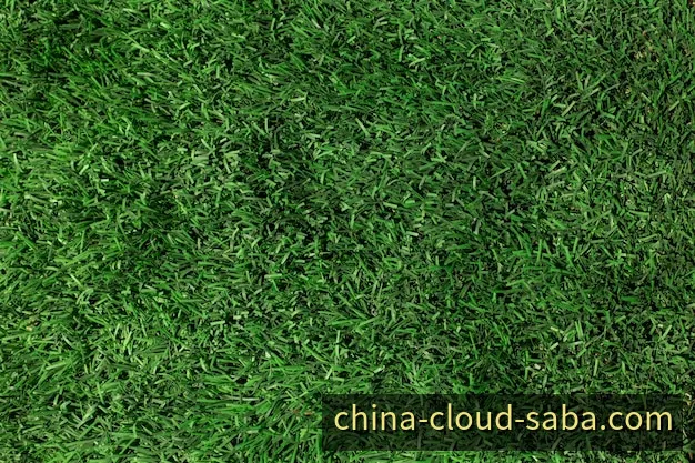 沙巴体育 联赛积分与战术走势分析